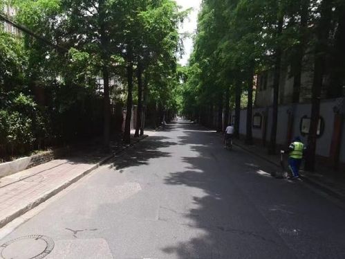 好消息 虹口3條道路變身精品示范路 快來看看有你家附近的嗎