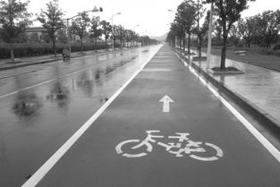 14年苦心經營崇明成騎行者天堂