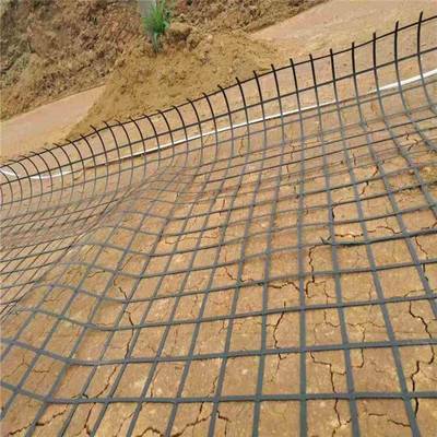 公路鐵路路堤路基加固深海作業(yè)堤岸用鋼塑土工格柵