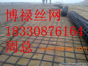 鋼塑土工格柵,鋼塑土工格柵生產(chǎn)廠家,鋼塑土工格柵價(jià)格