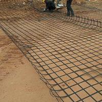 鋼塑土工格柵50KN內(nèi)蒙呼倫貝爾多少錢一平方